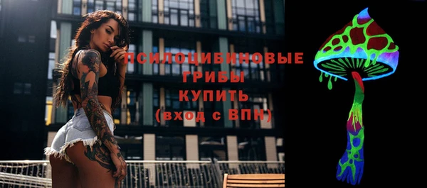 гашик Богородицк