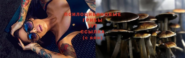 гашик Богородицк