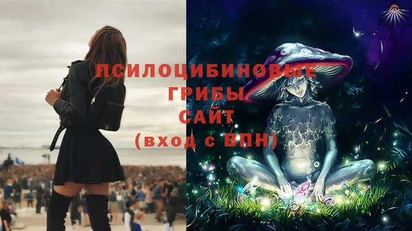 MDMA Богородск