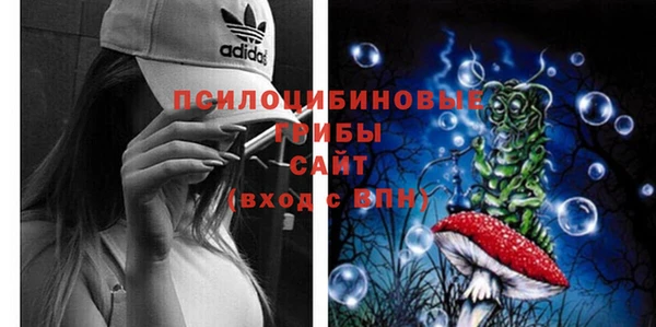 дурь Богданович