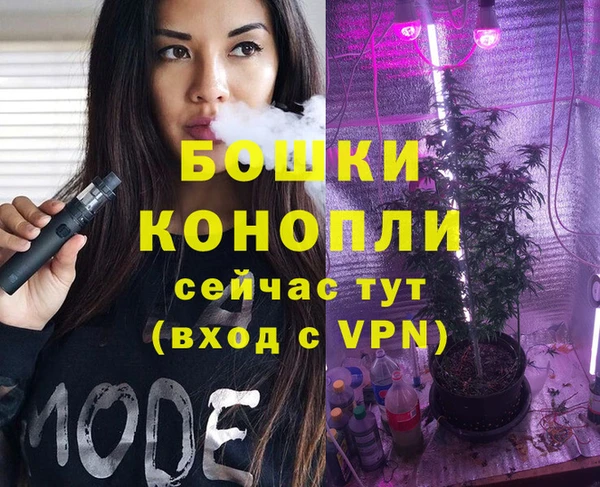 дурь Богданович