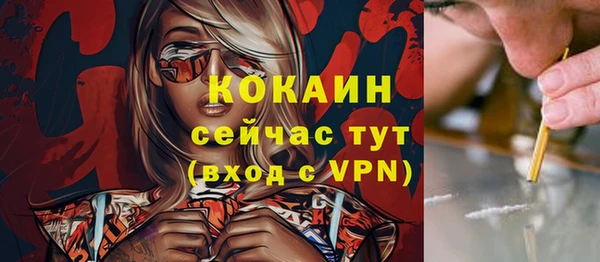 гашик Богородицк
